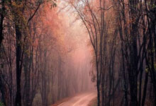 热那亚拼尽全力，誓言誓言夺冠梦想